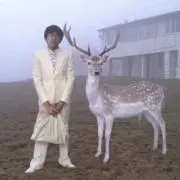 シミジミの画像