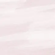 ありの画像