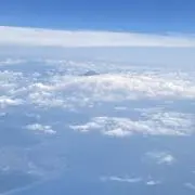 ぴの画像