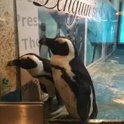 雫の画像