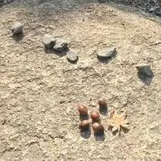 かえもも