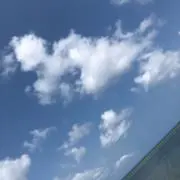 しん