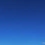 Mikuの画像