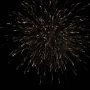 sakoの画像