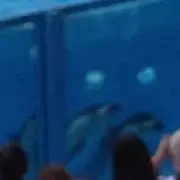 aoi☆の画像