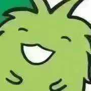 まりもの画像