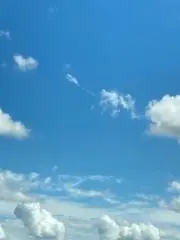 ゆき