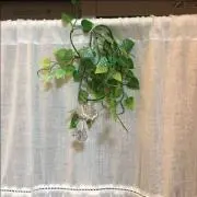 かな