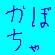 かぼちゃの画像