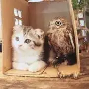 プーさんの画像