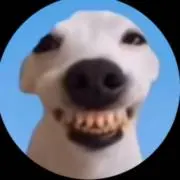 Yuの画像