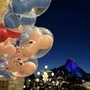 キキの画像