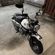 ネピアの画像