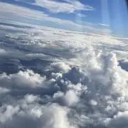 だいふくの画像