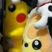 ミサキの画像