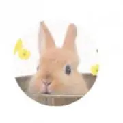 あきはるゆきうさぎ☆