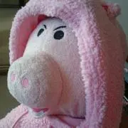 じょんたんの画像