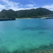 にいな