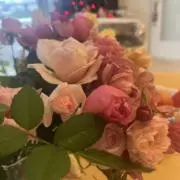 きょんきょん^_^の画像