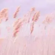 せい♪値引き○の画像