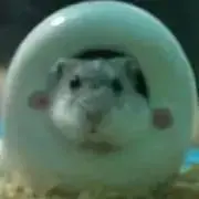 まさおの画像