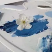 春の画像