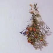 kohaの画像