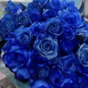 薔薇子の画像