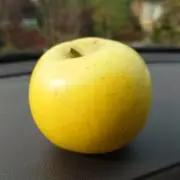 かわともの画像