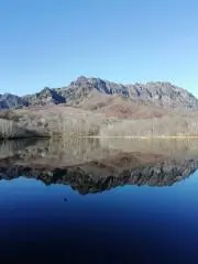 はまぽんの画像