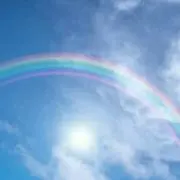 まろんの画像
