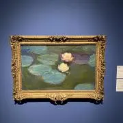 Sharonの画像