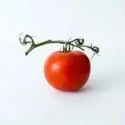 トマトの画像