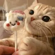 シ ユ
