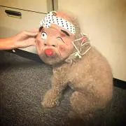 みいこ