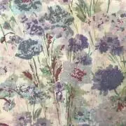 lavenderの画像
