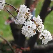 【プロフィールご覧下さい】satoの画像