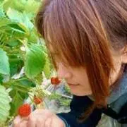 Masumi Kitano