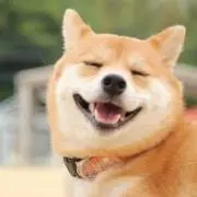 みうの画像