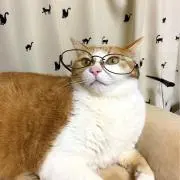 サイレンススズカの画像