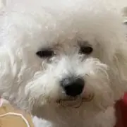 ちびちゃん♡⃛の画像