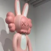 Angieの画像