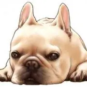 ブルみ