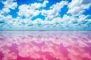 strawberryの画像