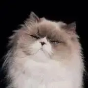 伊東