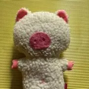 ひろちゃんの画像