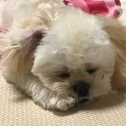 emon☆の画像