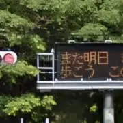 Dartsさん専用 ライブディオ用 当時物 デイトナSPユーロチャンバー