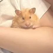 ゆーの画像