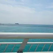 みーすけの画像